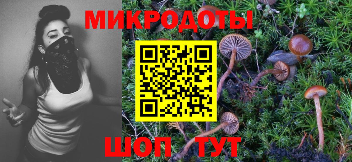 Красноармейск  Галлюциногенные грибы MAGIC MUSHROOMS  Вход с VPN 
